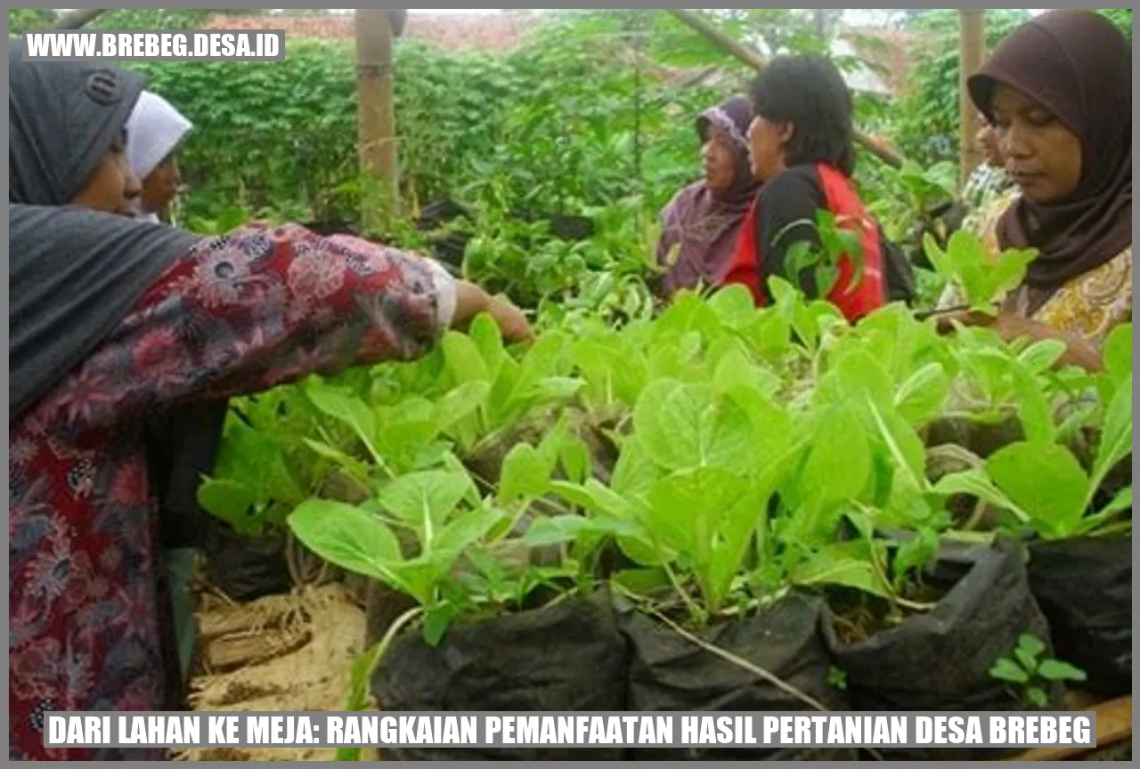 Dari Lahan ke Meja: Rangkaian Pemanfaatan Hasil Pertanian Desa Brebeg