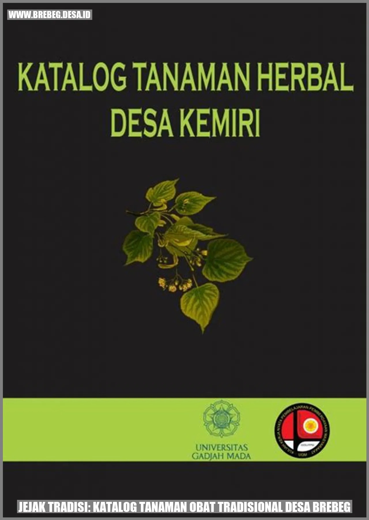 Jejak Tradisi: Katalog Tanaman Obat Tradisional Desa Brebeg
